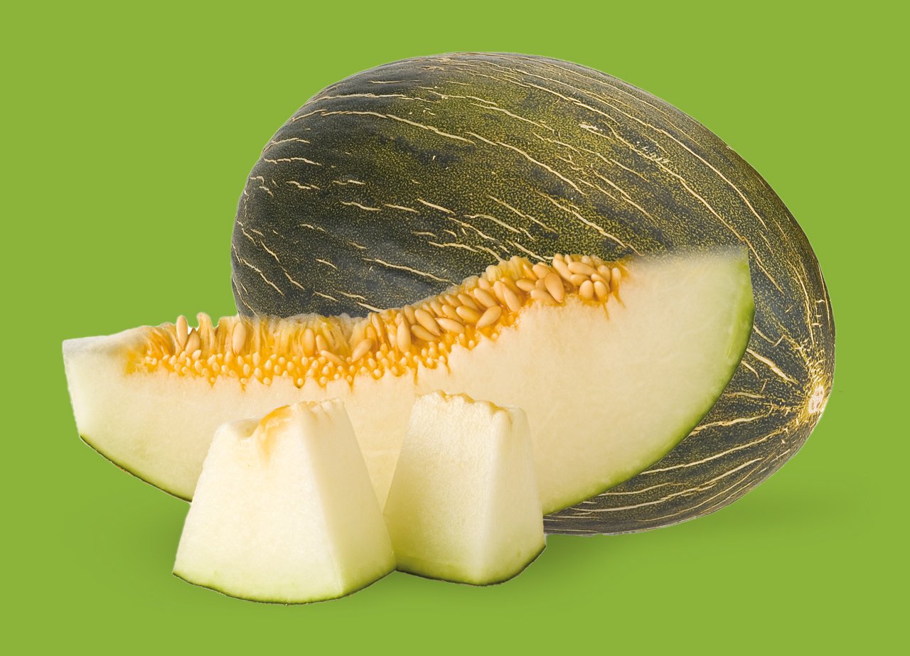 melón piel de sapo